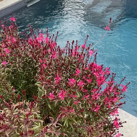 Bellevue, Neuve, 6 Pax, Pisc. Chauffée Villa Brando